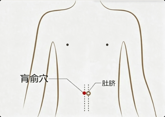 【一周一穴】上热下寒、心烦腰凉？巧用肓俞穴，温肾调冲、通经活络