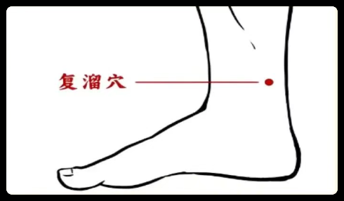 【一周一穴】入秋后口干心烦、腿胀身沉？巧用复溜穴，补肾滋阴、利水消肿