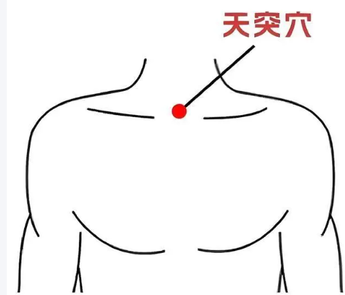 【一周一穴】秋分燥气当令，喉咙干、痰黏咳不出？用好天突穴，宽胸理气，排痰散结