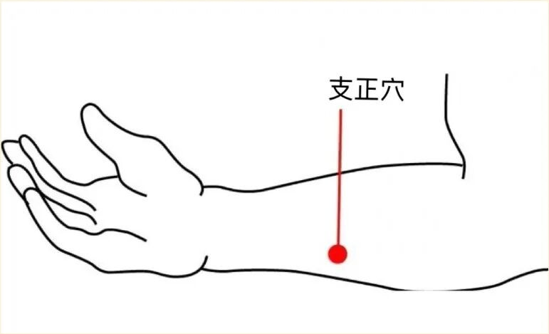 【一周一穴】秋分后脖子紧、肩膀酸还睡不踏实？用好支正穴，通络止痛、宁心安神，把卡在颈肩的气血疏通