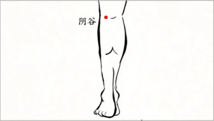 【一周一穴】上热下寒、膝凉腰酸？用好阴谷穴，滋肾阴，利下焦
